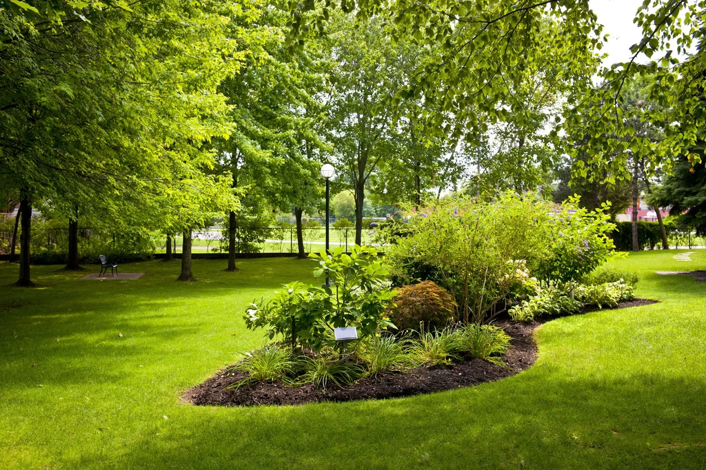 Poznaj wskazówki dotyczące porządków w ogrodzie - mogą się przydać!