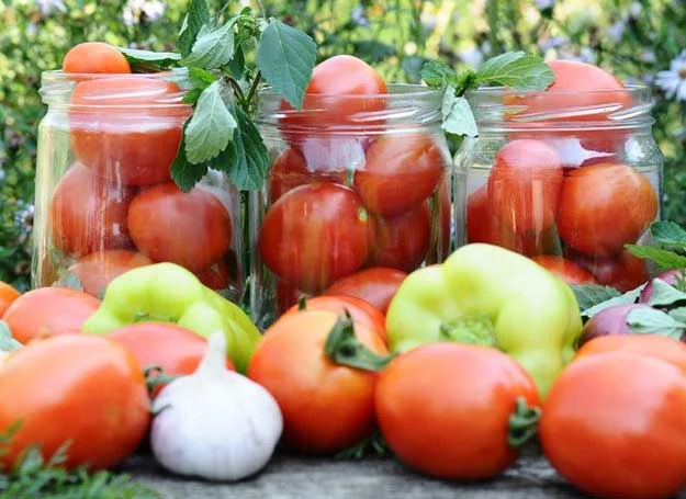 Wybieraj dojrzałe pomidory