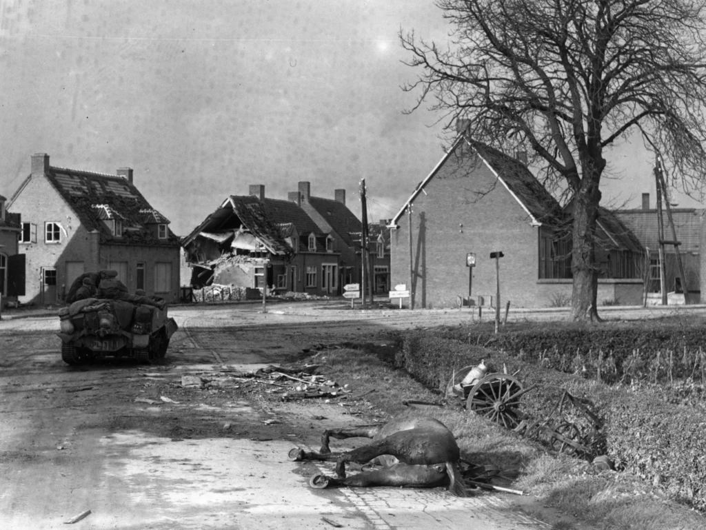 Polski Universal Carrier w Moerdijk