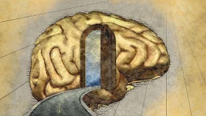 Czy tylko mózg tworzy umysł?