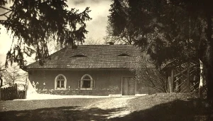 Winiarnia w Olszowej