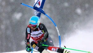 Ted Ligety