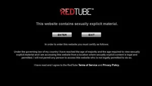 RMF24: Strach widzów RedTube'a. Grożą im kary