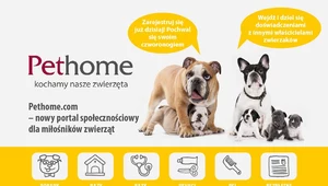 Powstał portal społecznościowy dla zwierząt