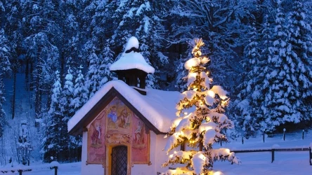 Jaka jest historia kolędy "Cicha noc"?