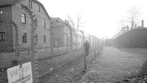 Auschwitz