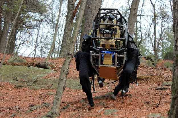 Dron bojowy LS-3 AlphaDog