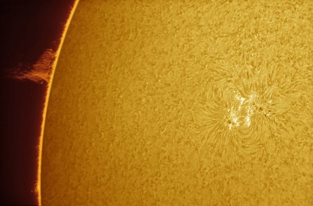 Słońce już zamieniło swoje bieguny magnetyczne Słońce już zamieniło swoje bieguny magnetyczne