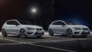 Seat Leon Cupra w dwóch wersjach