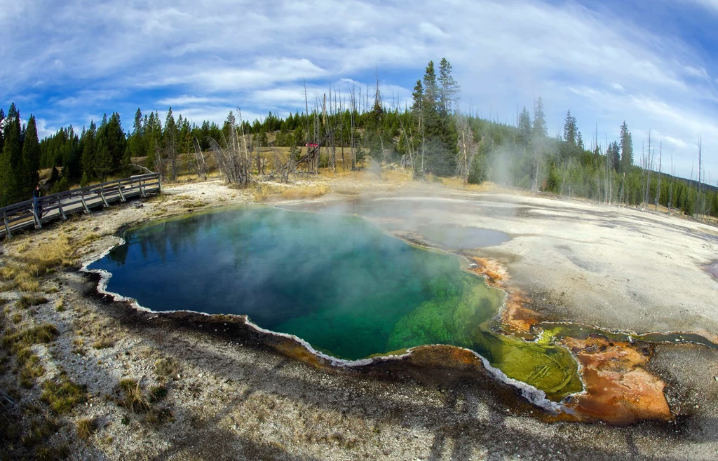 Yellowstone