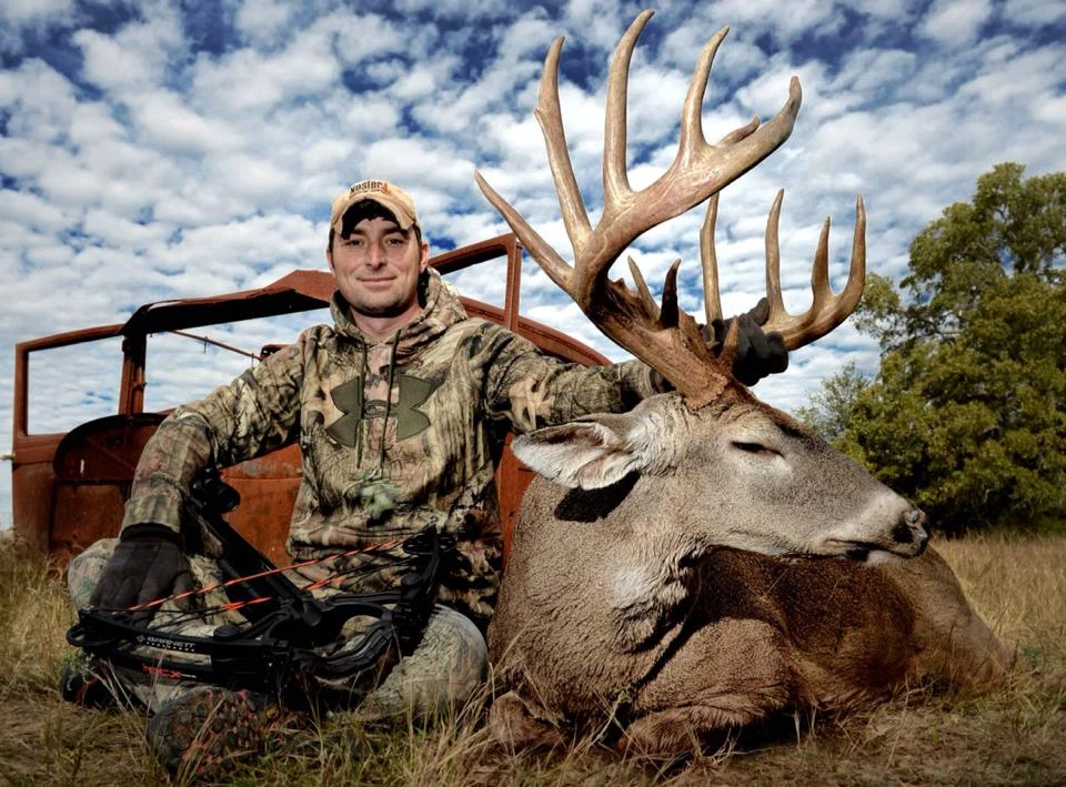Upolowany z kuszy jeleń