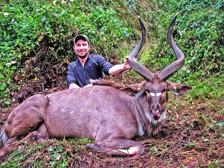 Niala upolowana w Etiopii