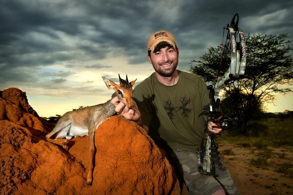 Mała antylopa dikdik