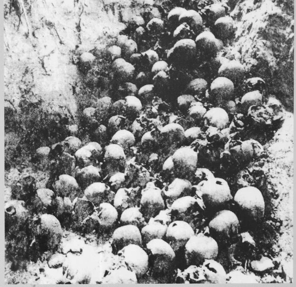 Szczątki mieszkańców Woli Ostrowskiej na Wołyniu zamordowanych 30.08.1943. Wynik ekshumacji z 1992 roku