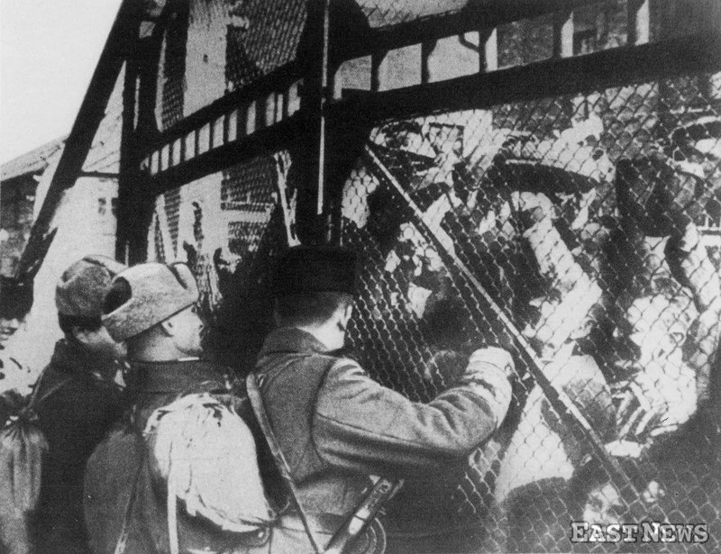 Wyzwolenie Auschwitz