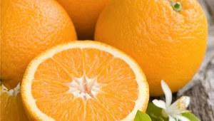 Orzeźwiające pomarańcze 