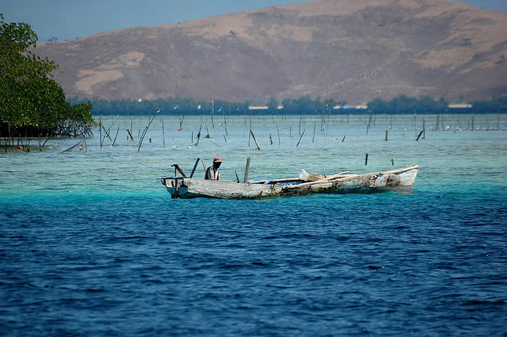 Park Narodowy Komodo /fot. www.wyjazdy-komodo.pl