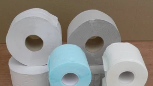 Czym zastąpić papier toaletowy? Rozwiązanie istnieje, choć jest egzotyczne