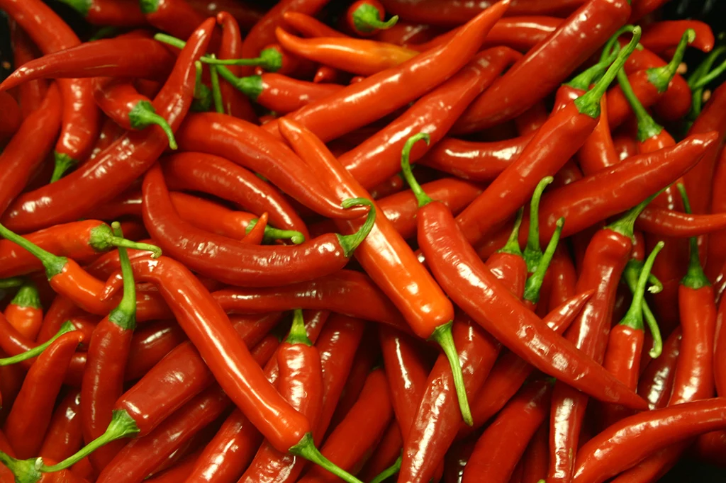 Chilli