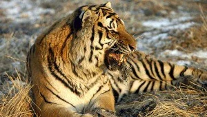 Czas  na odchudzanie