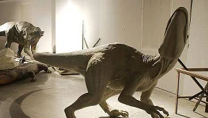 Modele dinozaurów buduje twórca Parku Krzysztof Kuchnio