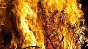 Fot. Paweł de Ville