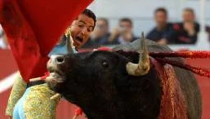 Hisoria Carmen pochodzi z ognistej Hiszpanii.