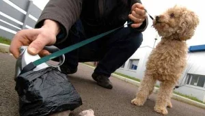 Bez smyczy ani rusz!