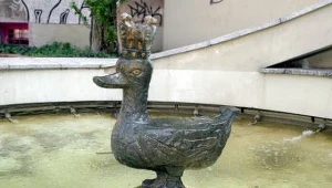 /fot. M. Smulczyński