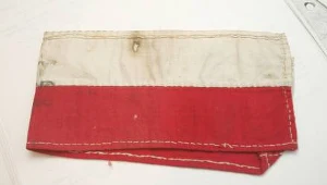 /fot. M. Smulczyński