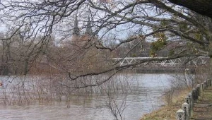 Fala na Odrze niższa od prognoz