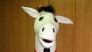 /fot. Teresa Głuszek