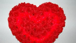 /fot. I. Wieczeńska