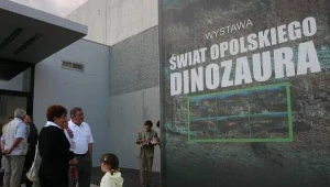 Komercja mile widziana w Dinoparku