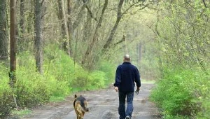 Bydgoszcz wśród najbezpieczniejszych miast