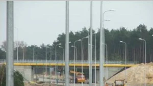 Kolejne kukułcze jajo