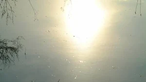 Opada woda w Noteci i Drawie w Lubuskiem