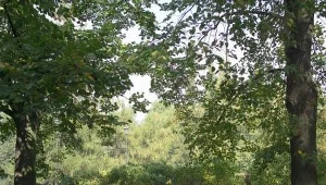 Wiosenne Zielonym do Góry