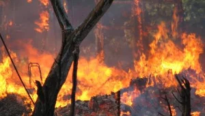 Strażacy walczą z pożarem zboża