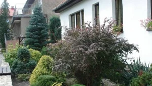 "Piękna wieś opolska 2008"