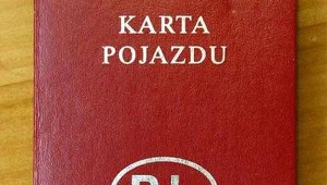 fot. A. Nocoń