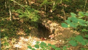 Zwłoki dziewczynki znaleziono w lesie dwa kilometry od Bobolic 4 sierpnia 1997 roku