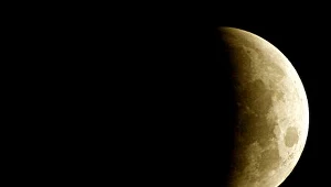 Wieczór kultury czeczeńskiej