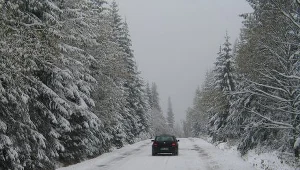 Lubuskie: Drogi przejezdne, ale bardzo śliskie