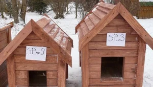 Podsumowanie akcji "Gwiazdka dla Schroniska"