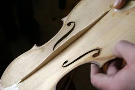 Fot. W. Traczyk Fot. W. Traczyk