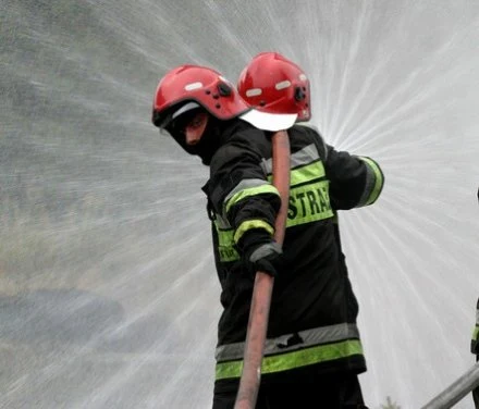 Fot. T. Zieliński Fot. T. Zieliński