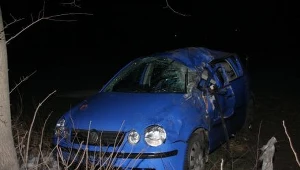 Opolskie: Uderzył w drzewo