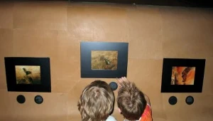 Muzeum w Zielonej Górze przedstawiło ofertę dla dzieci