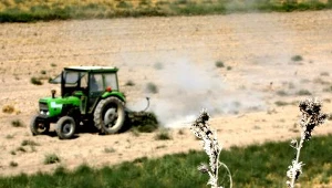 Pijany traktorzysta zaorał nie swoje pole